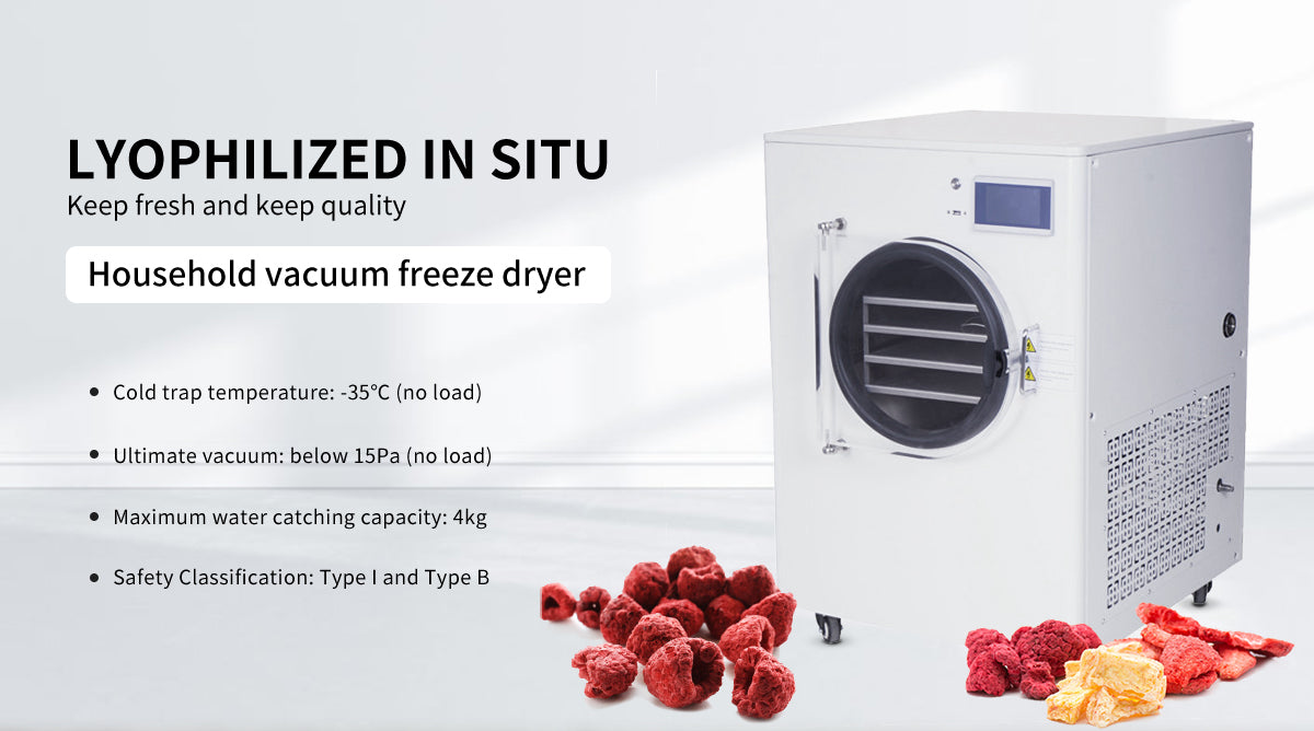 Household vacuum pump freeze dryer