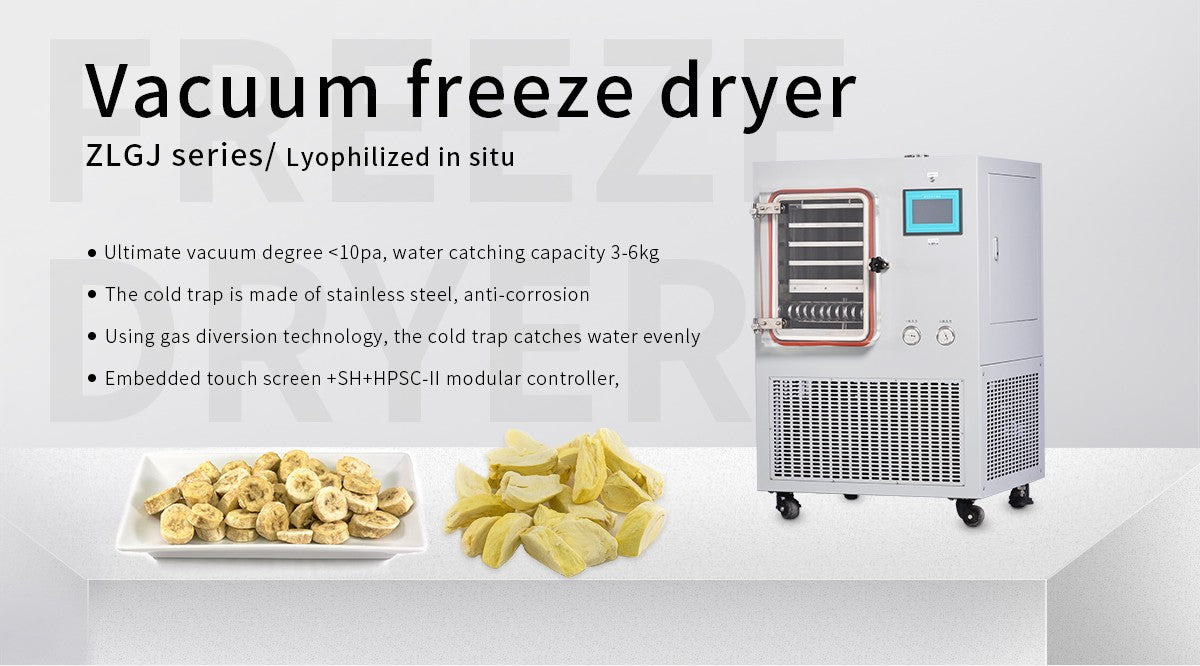Lab Vacuum Freeze Dryer